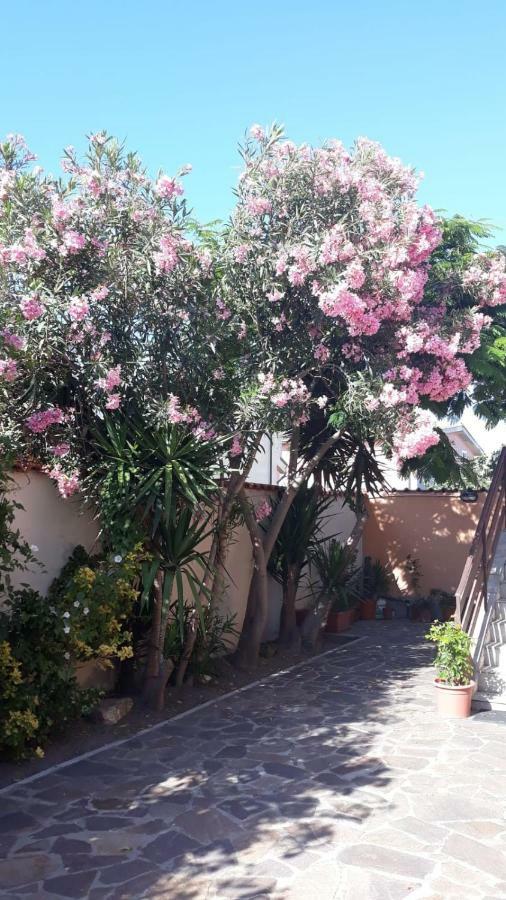 B&B Fiumicino Airport Resort Exterior foto